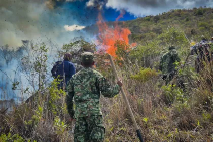 La respuesta se ha concentrado en varios frentes terrestres. Según el reporte de la Unidad Departamental para la Gestión del Riesgo, alrededor de 250 integrantes de organismos de socorro y fuerza pública participan en las labores, apoyados por aproximadamente 100 voluntarios de la comunidad - Foto: Quinta División del Ejército Nacional