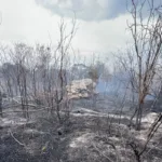 La propia información de Parques Nacionales identifica al macizo de Iguaque como una zona fundamental para el abastecimiento de agua destinada al consumo humano y a las actividades agropecuarias de municipios ubicados en su periferia, entre ellos Villa de Leyva, Chíquiza, Sáchica y Arcabuco - Foto: X/@aleqp