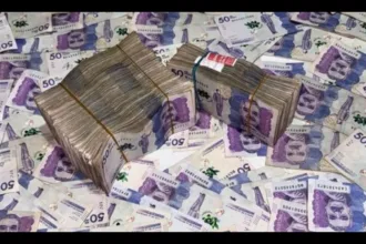 La cifra se convirtió en uno de los primeros resultados cuantificables de la política gubernamental para reducir la contratación estatal. Sin embargo, el ahorro en las cuentas públicas es solo una parte de la ecuación. La reducción también plantea preguntas sobre los ingresos que dejaron de recibir miles de personas, sus posibilidades de conseguir otra fuente de trabajo y los efectos que una menor capacidad de consumo puede tener sobre otros sectores de la economía - Foto: Aamber90k