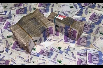 La cifra se convirtió en uno de los primeros resultados cuantificables de la política gubernamental para reducir la contratación estatal. Sin embargo, el ahorro en las cuentas públicas es solo una parte de la ecuación. La reducción también plantea preguntas sobre los ingresos que dejaron de recibir miles de personas, sus posibilidades de conseguir otra fuente de trabajo y los efectos que una menor capacidad de consumo puede tener sobre otros sectores de la economía - Foto: Aamber90k