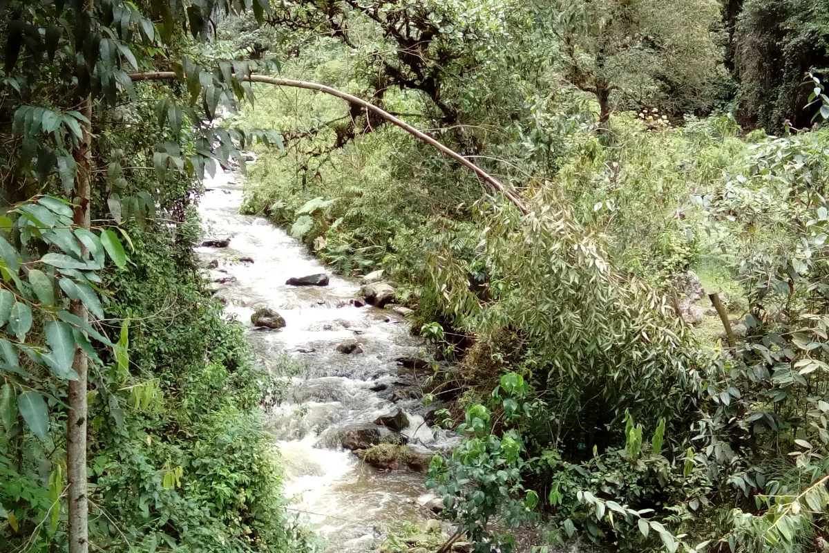 Seis años antes, el municipio de Piedras también había acudido a las urnas para pronunciarse sobre la minería aurífera a gran escala. La consulta se realizó el 28 de julio de 2013 y abordó actividades de exploración, explotación, tratamiento, transformación y transporte de materiales provenientes de ese tipo de minería - Foto: Archivo/Ronald Cano