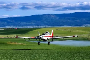 Los firmantes sostienen que reemplazar el glifosato por otro herbicida no constituye, por sí solo, una garantía de seguridad. Por eso, solicitan una evaluación independiente que considere las características toxicológicas del glufosinato, la formulación comercial que se pretende utilizar, las dosis previstas y las condiciones reales de aplicación - Foto: agaviation.org