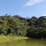 La determinación representa un cambio en las disposiciones adoptadas por la administración anterior para proteger uno de los ecosistemas más importantes del territorio colombiano. Con la revocatoria, el Gobierno de Abelardo de la Espriella dejó sin efecto una declaratoria que comprendía 483.283 kilómetros cuadrados, equivalentes a cerca del 42 % del territorio nacional - Foto: Archivo/Ronald Cano