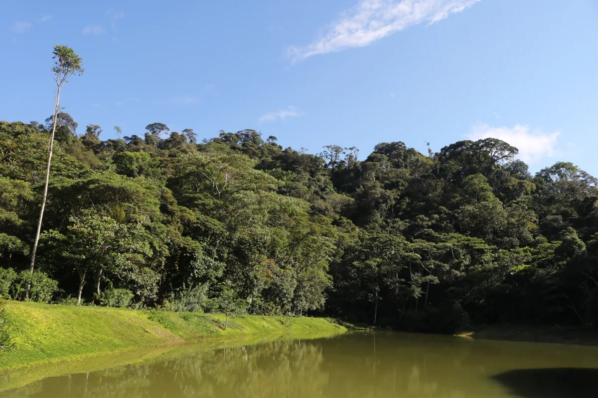 La determinación representa un cambio en las disposiciones adoptadas por la administración anterior para proteger uno de los ecosistemas más importantes del territorio colombiano. Con la revocatoria, el Gobierno de Abelardo de la Espriella dejó sin efecto una declaratoria que comprendía 483.283 kilómetros cuadrados, equivalentes a cerca del 42 % del territorio nacional - Foto: Archivo/Ronald Cano