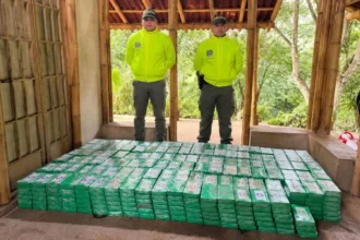 La caída más pronunciada corresponde al periodo comprendido entre el 7 de agosto y el 19 de septiembre de 2026. De acuerdo con cifras divulgadas sobre ese intervalo, se incautaron 63.310 kilos de cocaína, un 47 % menos que en el periodo equivalente de 2025. El resultado contrasta con el acumulado de enero a agosto, cuya disminución fue mucho menor - Foto: Archivo/Policía Nacional